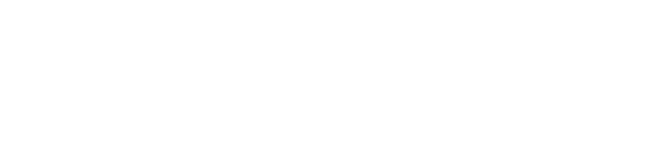 FYSIOFLEX - Behandelen Bewegen Begeleiden