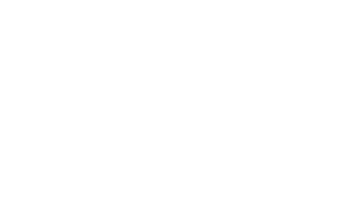 FYSIOFLEX - Behandelen Bewegen Begeleiden